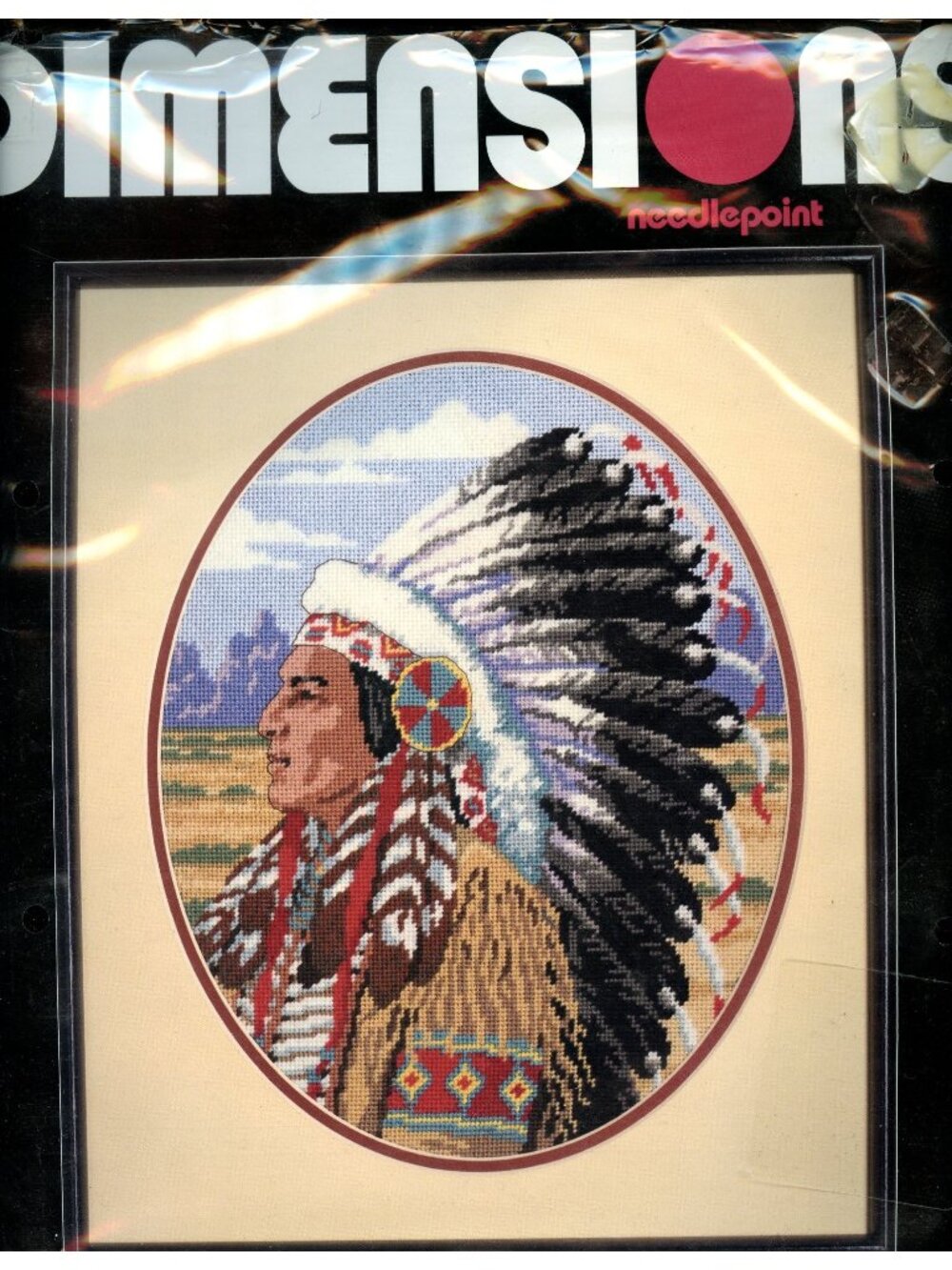 Dimensions Native Pride Needlepoint Kit 2402 15" x 18" Frame Size Persian Wool &
